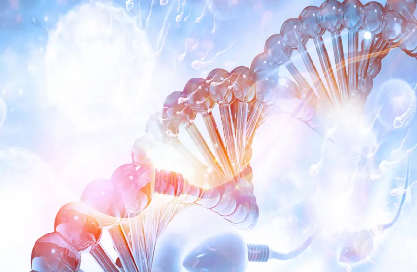 من الأب إلى نسله: العلم يكشف مفتاح وراثة اللياقة البدنية!